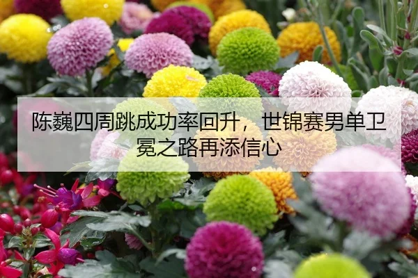 chen-wei-si-zhou-tiao-cheng-gong-lv-hui-sheng-shi-jin-sai-nan-dan-wei-mian-zhi-lu-zai-tian-xin-xin-2-839.jpg