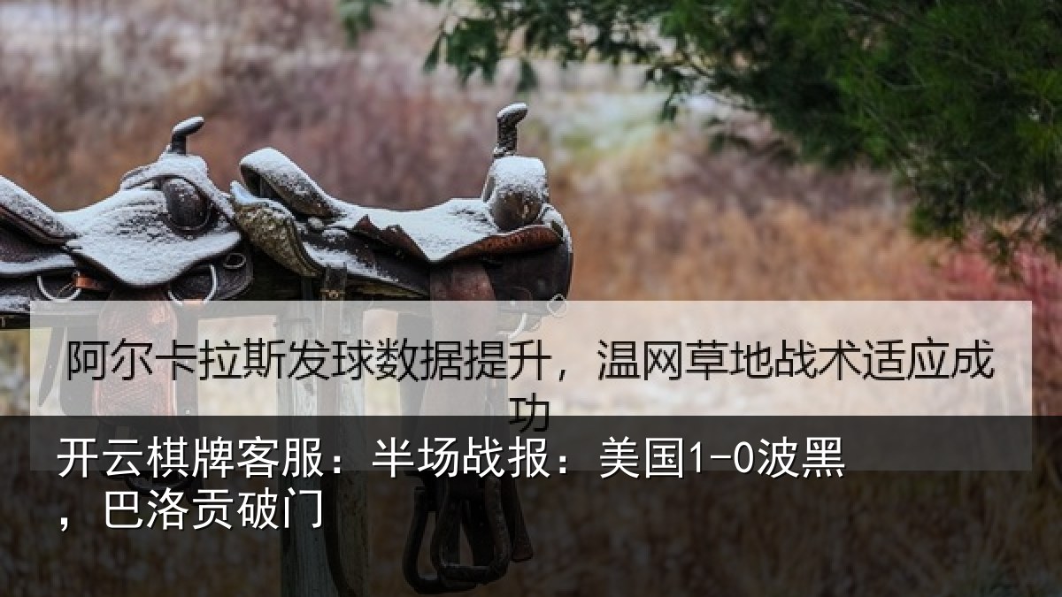 开云棋牌客服:半场战报:美国1-0波黑,巴洛贡破门