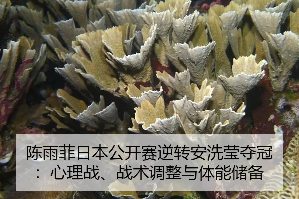chen-yu-fei-ri-ben-gong-kai-sai-ni-zhuan-an-xi-ying-duo-guan-xin-li-zhan-zhan-shu-tiao-zheng-yu-ti-neng-chu-bei-3-902.jpg